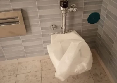 Professional Plumbing Services